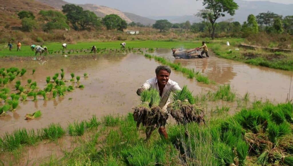 PM Kisan Yojana 2025: Farmers Waiting for ₹2,000 Under the 21st Installment