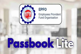 EPFO Passbook Lite Launched: Check Balance, Contributions and Transfer Status with Single Login