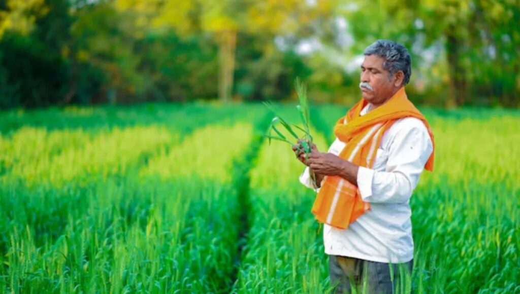 PM Dhan Dhaanya Yojana: Agricultural development will get a new impulsion in 100 districts including Uttar Pradesh.