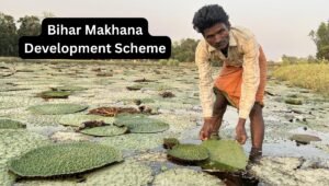 Bihar Makhana Development Scheme: Empowering Farmers with Modern Techniques and Financial Support