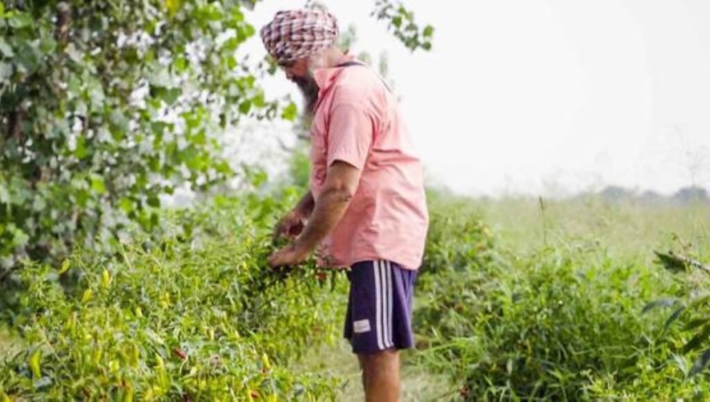 Bhavantar Yojana Burden in Malhargarh: Farmers Still Await Promised Benefits