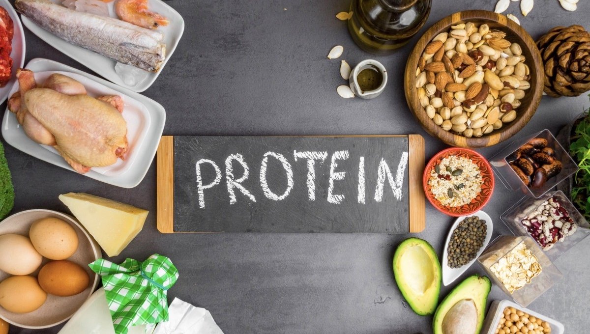 The Power of Protein: How Much Can Your Body Absorb at Once