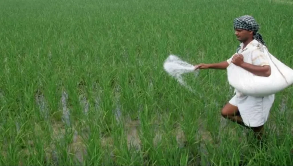 Fertilizers Subsidy 2025: Modi Government Approves ₹38,000 Crore Relief for Farmers