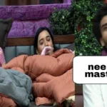 Bigg Boss 19 Neelam Giri Flirt: Basiar Ali and Amal Malik Funny Moments