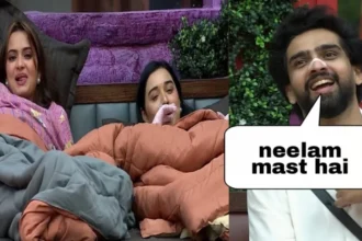Bigg Boss 19 Neelam Giri Flirt: Basiar Ali and Amal Malik Funny Moments