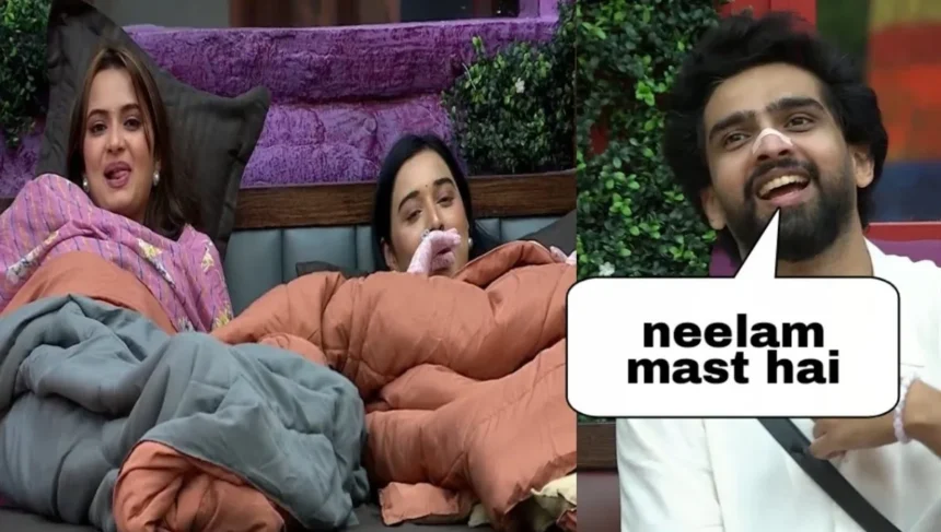 Bigg Boss 19 Neelam Giri Flirt: Basiar Ali and Amal Malik Funny Moments