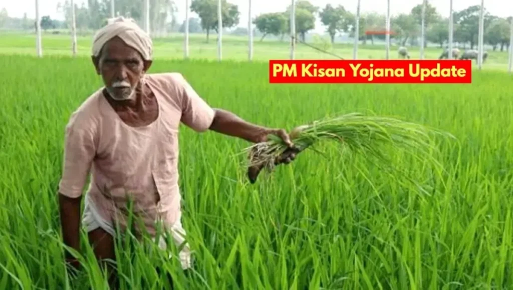 PM Kisan Yojana: Big Shock for These Farmers Before the 21st Installment, Know the Full Details