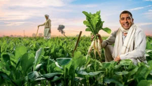 Bihar Big Leap: New Farmer Schemes Set to Revolutionize Agriculture