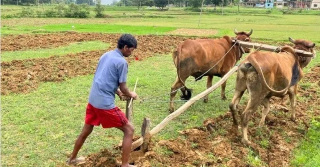 Ek Gaon Ek Fasal Yojana