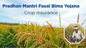 Chief Minister Mahila Rojgar Yojana Bihar 2025: ₹10,000 Direct Benefit for 75 Lakh Women PM Fasal Bima Yojana 2026: Protect Your Crops from Wild Animals and Floods Affordable Coverage Starts Now