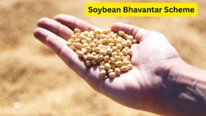 Soybean Bhavantar Scheme Update: Over 9 Lakh Farmers to Benefit from New Rate